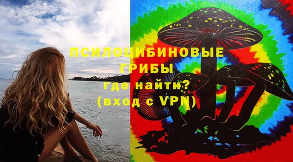 шишки Баксан