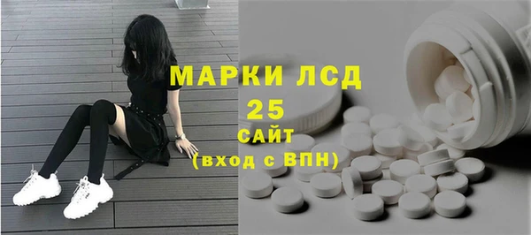 шишки Баксан