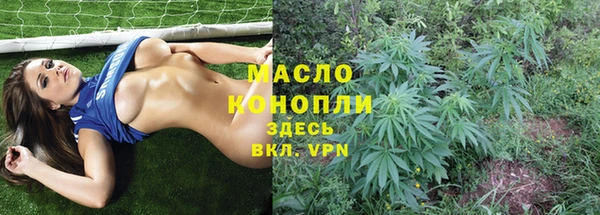 молекула духа Балахна