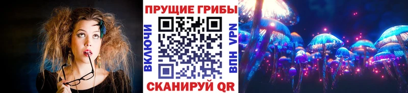 Псилоцибиновые грибы Psilocybe  хочу   Верхняя Тура 